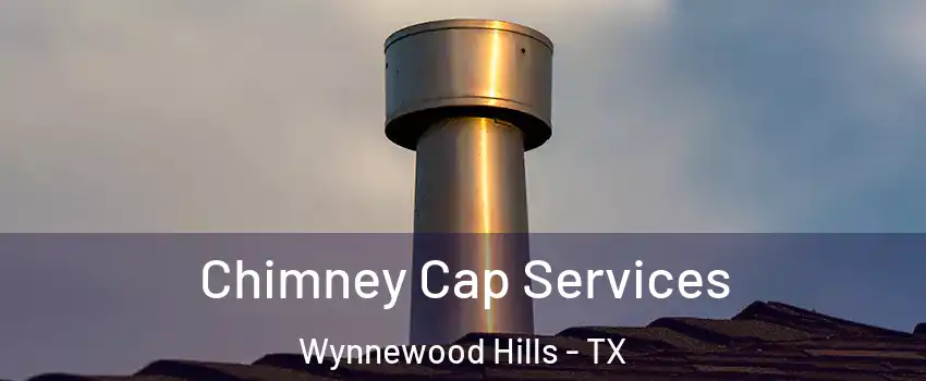 Chimney Cap Services Wynnewood Hills - TX