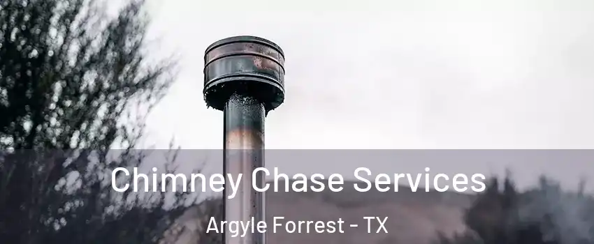 Chimney Chase Services Argyle Forrest - TX