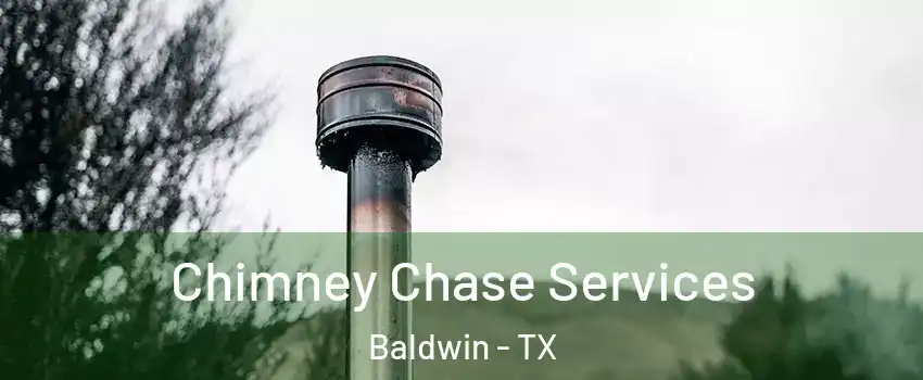 Chimney Chase Services Baldwin - TX