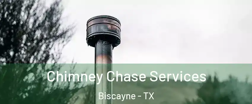 Chimney Chase Services Biscayne - TX