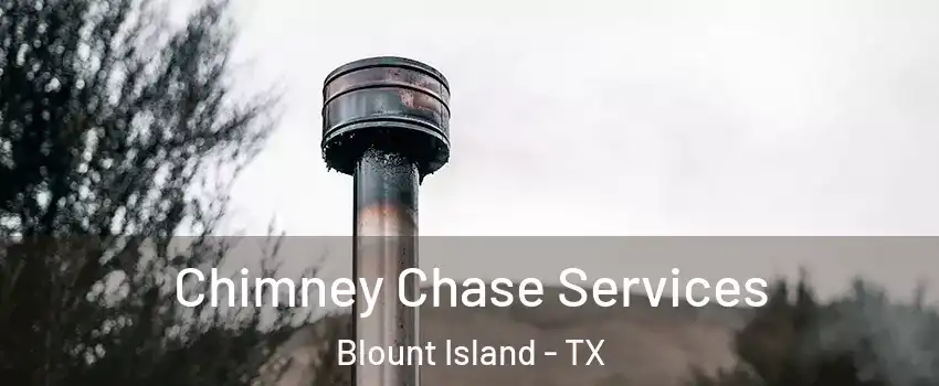 Chimney Chase Services Blount Island - TX