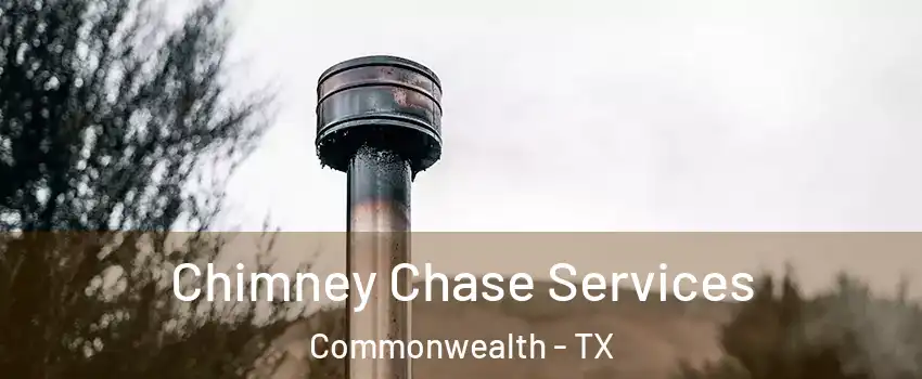 Chimney Chase Services Commonwealth - TX