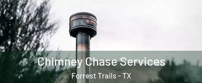 Chimney Chase Services Forrest Trails - TX