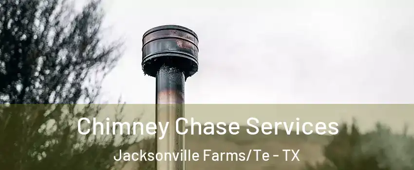 Chimney Chase Services Jacksonville Farms/Te - TX