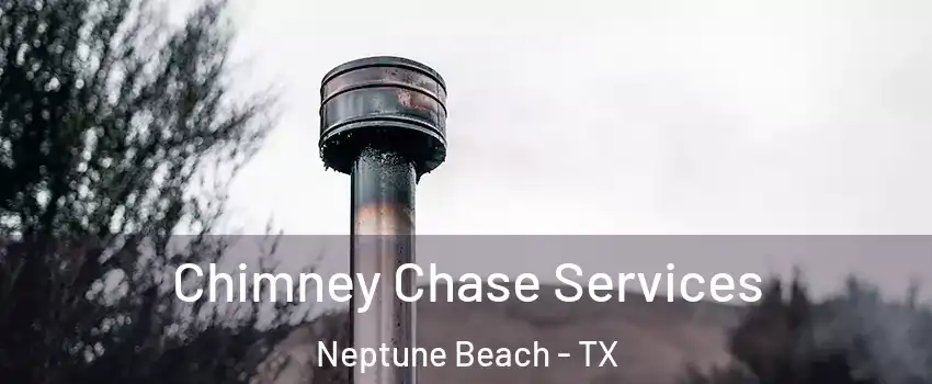Chimney Chase Services Neptune Beach - TX