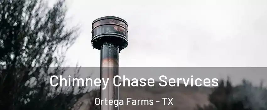 Chimney Chase Services Ortega Farms - TX