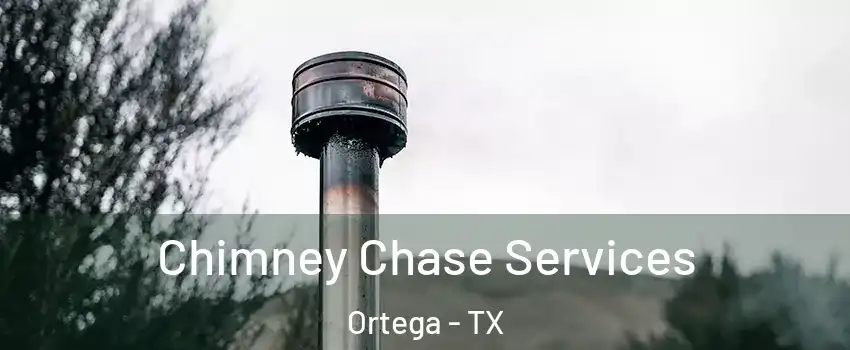 Chimney Chase Services Ortega - TX