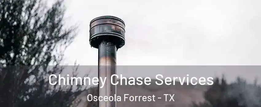 Chimney Chase Services Osceola Forrest - TX