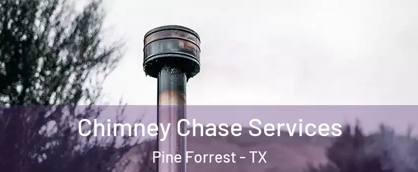 Chimney Chase Services Pine Forrest - TX
