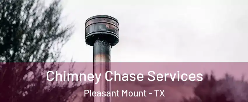 Chimney Chase Services Pleasant Mount - TX