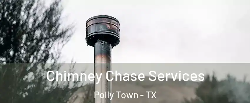Chimney Chase Services Polly Town - TX