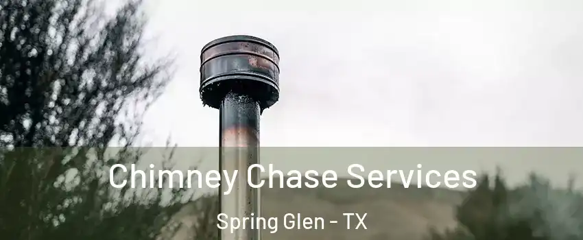 Chimney Chase Services Spring Glen - TX