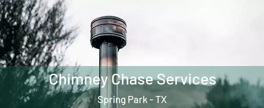 Chimney Chase Services Spring Park - TX