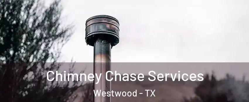 Chimney Chase Services Westwood - TX