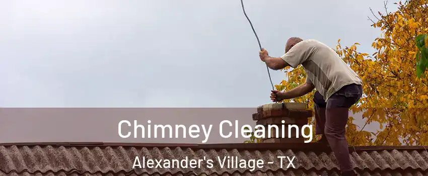 Chimney Cleaning Alexander's Village - TX