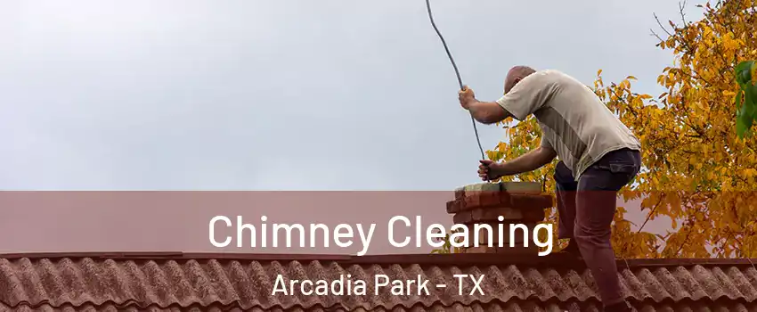 Chimney Cleaning Arcadia Park - TX