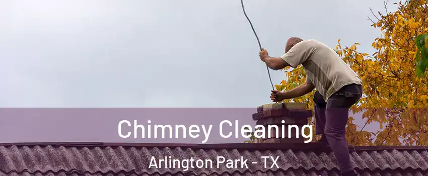 Chimney Cleaning Arlington Park - TX