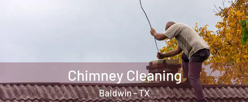 Chimney Cleaning Baldwin - TX