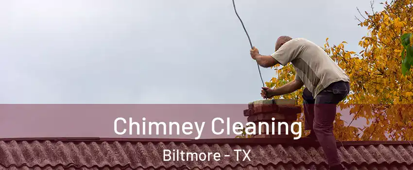 Chimney Cleaning Biltmore - TX