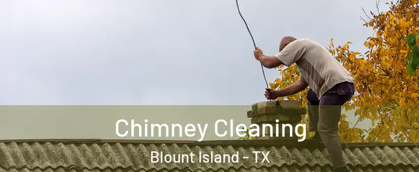 Chimney Cleaning Blount Island - TX