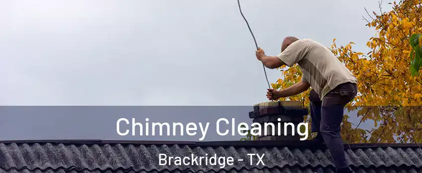 Chimney Cleaning Brackridge - TX