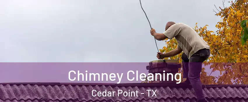 Chimney Cleaning Cedar Point - TX