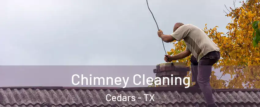 Chimney Cleaning Cedars - TX