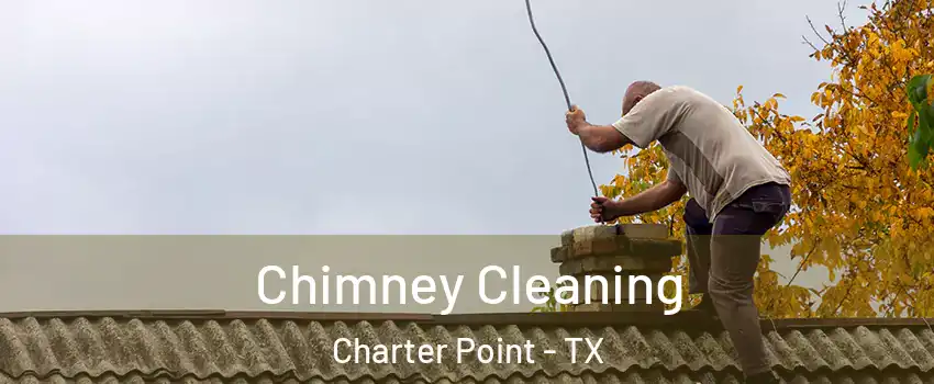 Chimney Cleaning Charter Point - TX