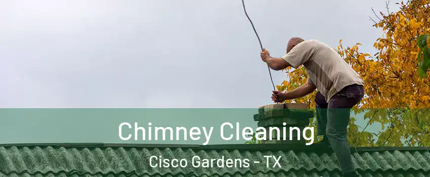 Chimney Cleaning Cisco Gardens - TX