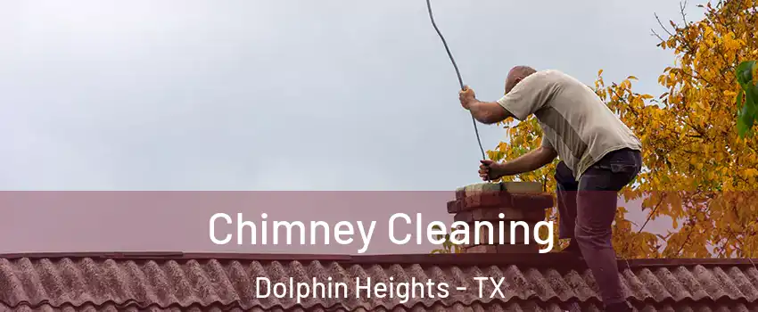 Chimney Cleaning Dolphin Heights - TX