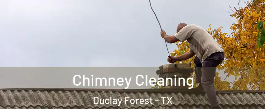 Chimney Cleaning Duclay Forest - TX