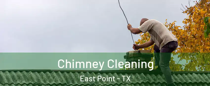 Chimney Cleaning East Point - TX