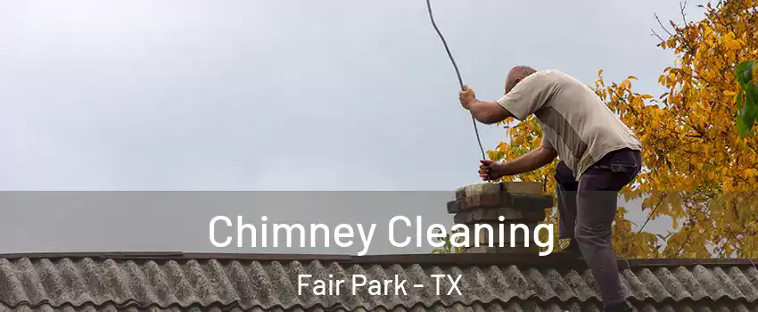 Chimney Cleaning Fair Park - TX