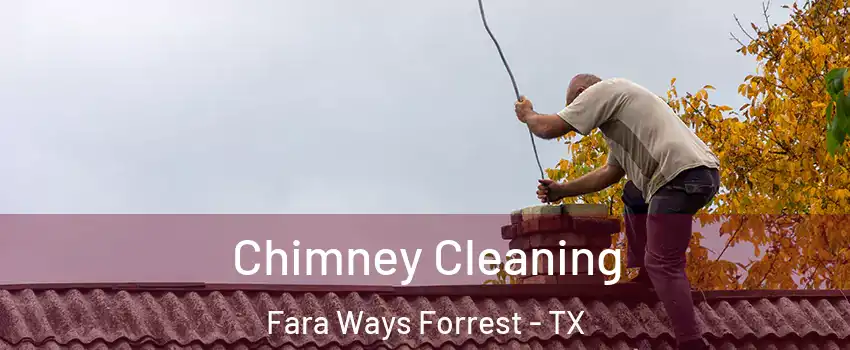 Chimney Cleaning Fara Ways Forrest - TX