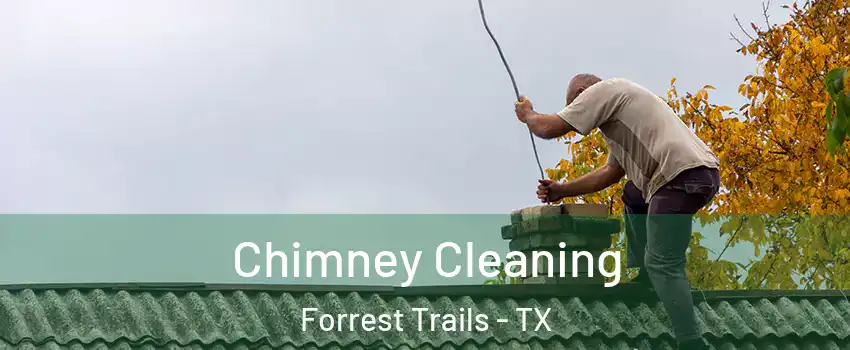 Chimney Cleaning Forrest Trails - TX