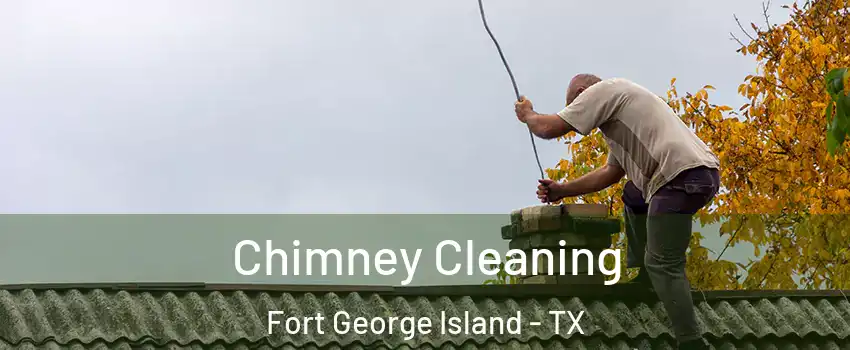 Chimney Cleaning Fort George Island - TX