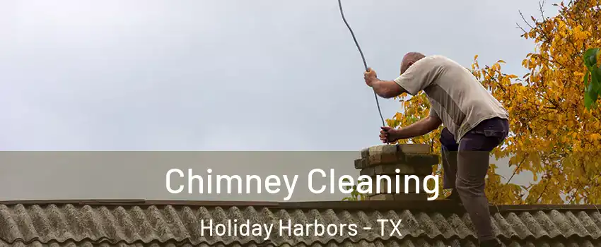 Chimney Cleaning Holiday Harbors - TX