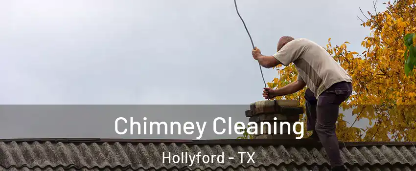Chimney Cleaning Hollyford - TX