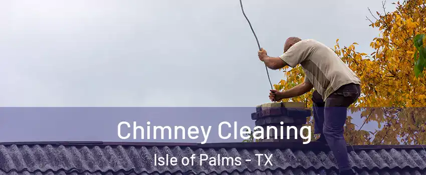 Chimney Cleaning Isle of Palms - TX