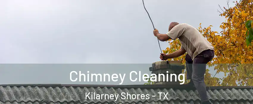 Chimney Cleaning Kilarney Shores - TX