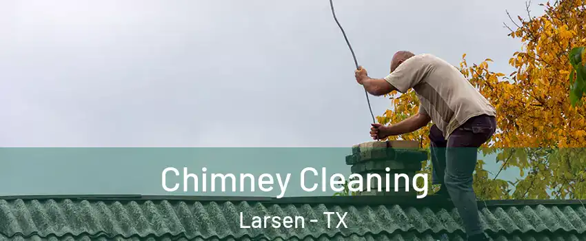 Chimney Cleaning Larsen - TX