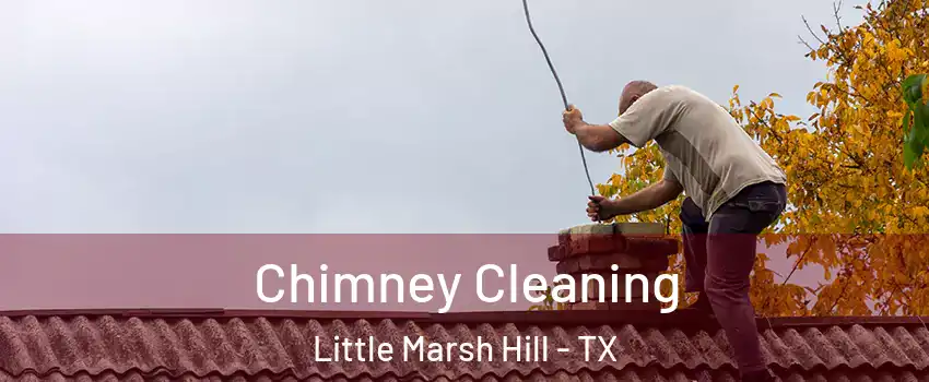 Chimney Cleaning Little Marsh Hill - TX