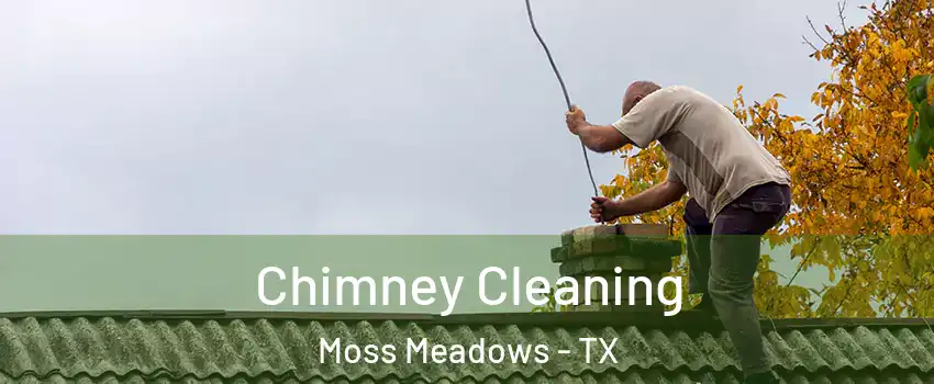 Chimney Cleaning Moss Meadows - TX