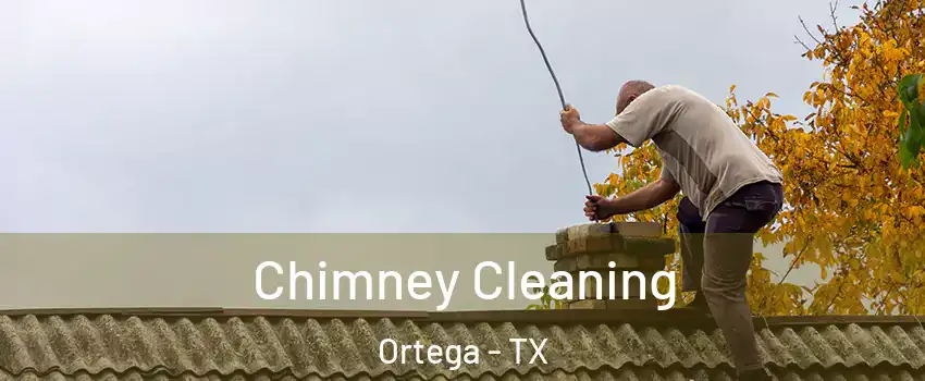Chimney Cleaning Ortega - TX