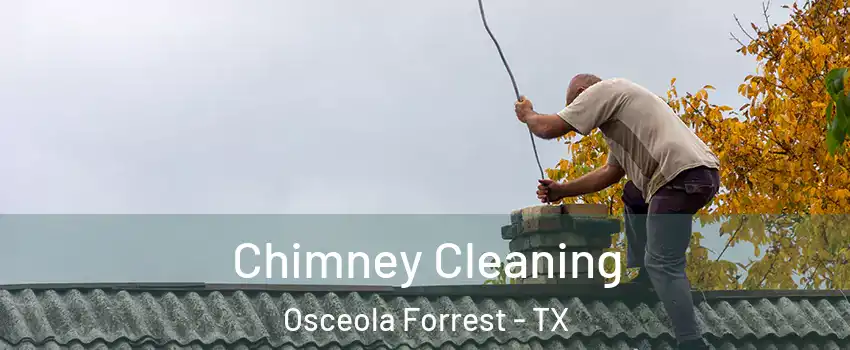 Chimney Cleaning Osceola Forrest - TX