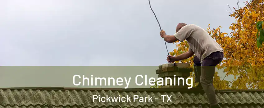 Chimney Cleaning Pickwick Park - TX