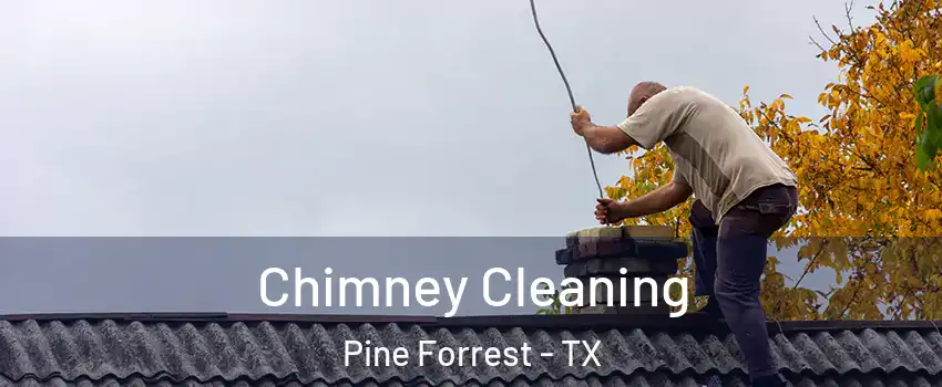 Chimney Cleaning Pine Forrest - TX