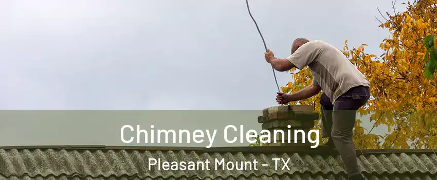 Chimney Cleaning Pleasant Mount - TX
