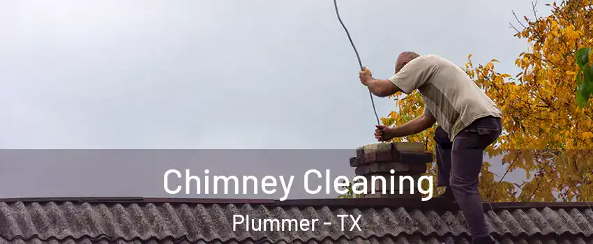 Chimney Cleaning Plummer - TX