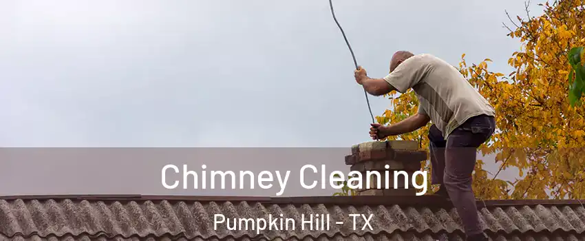 Chimney Cleaning Pumpkin Hill - TX
